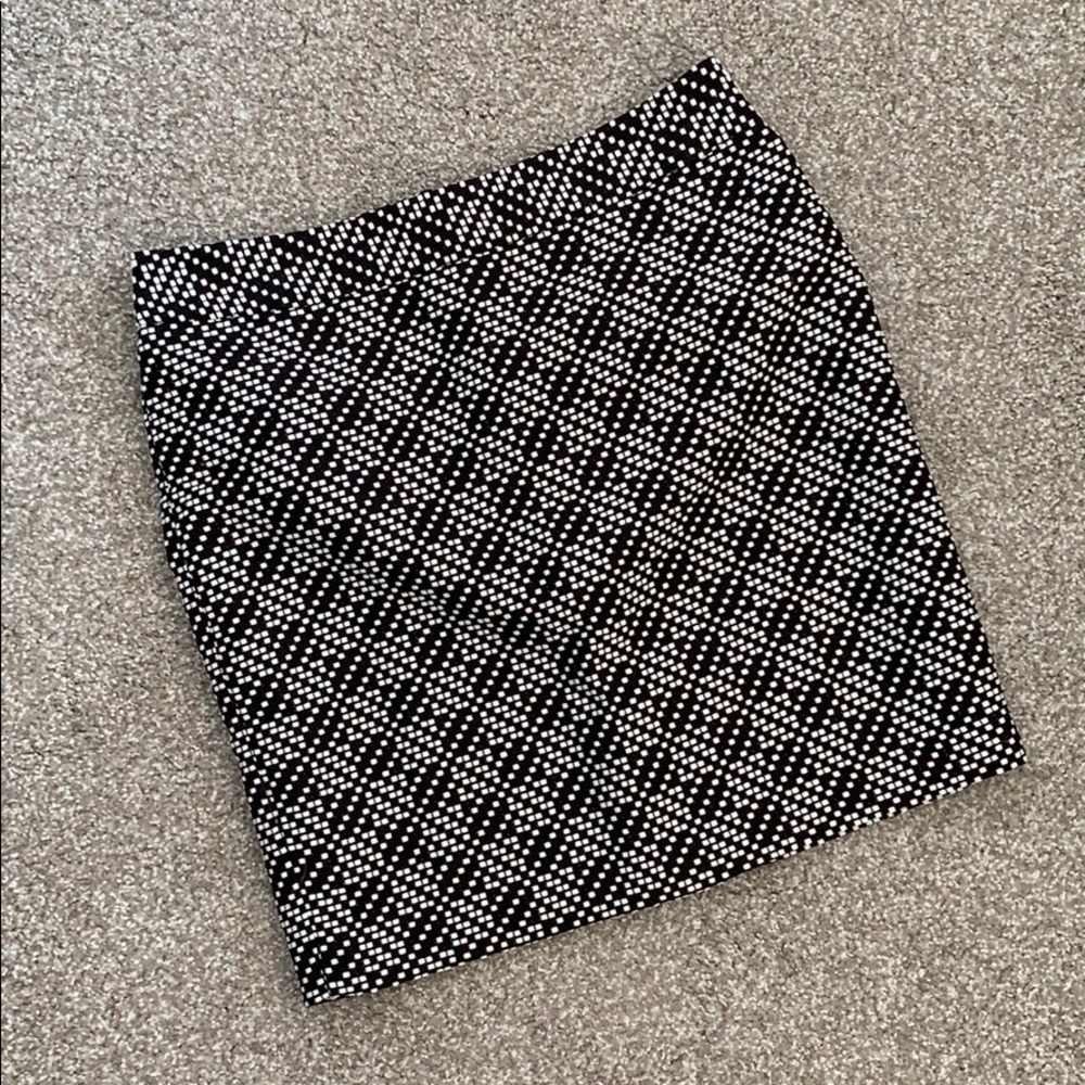 Lined Skirt